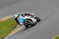 PJ-Motorsport-2019;anglesey-no-limits-trackday;anglesey-photographs;anglesey-trackday-photographs;enduro-digital-images;event-digital-images;eventdigitalimages;no-limits-trackdays;peter-wileman-photography;racing-digital-images;trac-mon;trackday-digital-images;trackday-photos;ty-croes